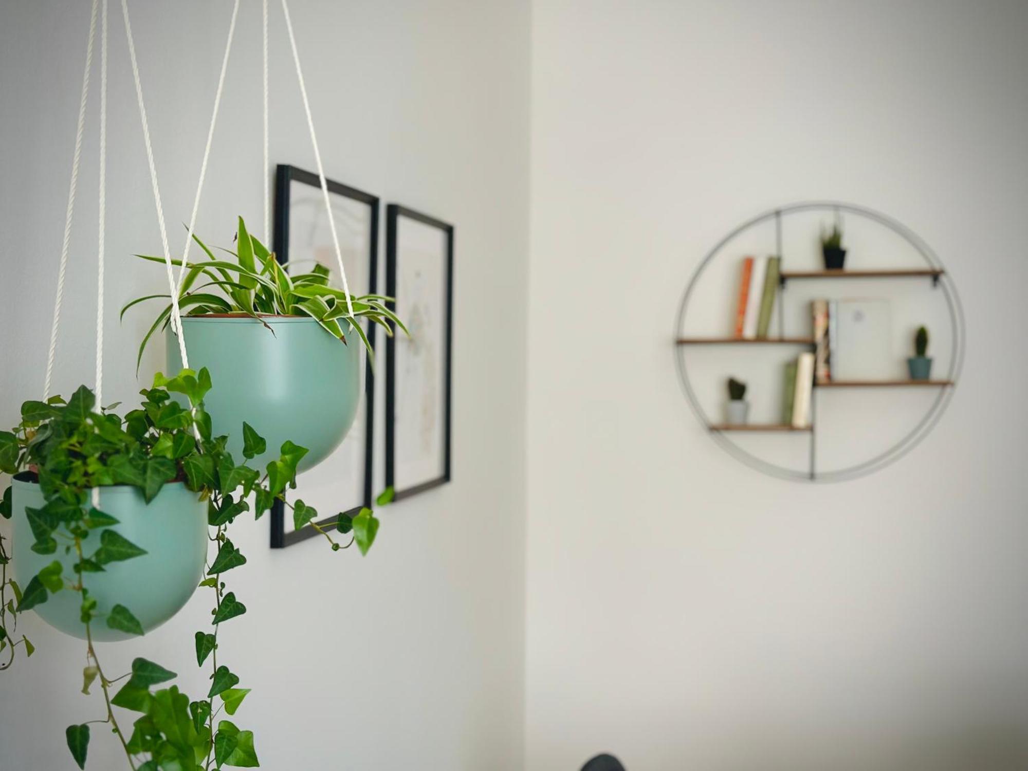 Boho Apartment In Old Town Bratislava Bagian luar foto